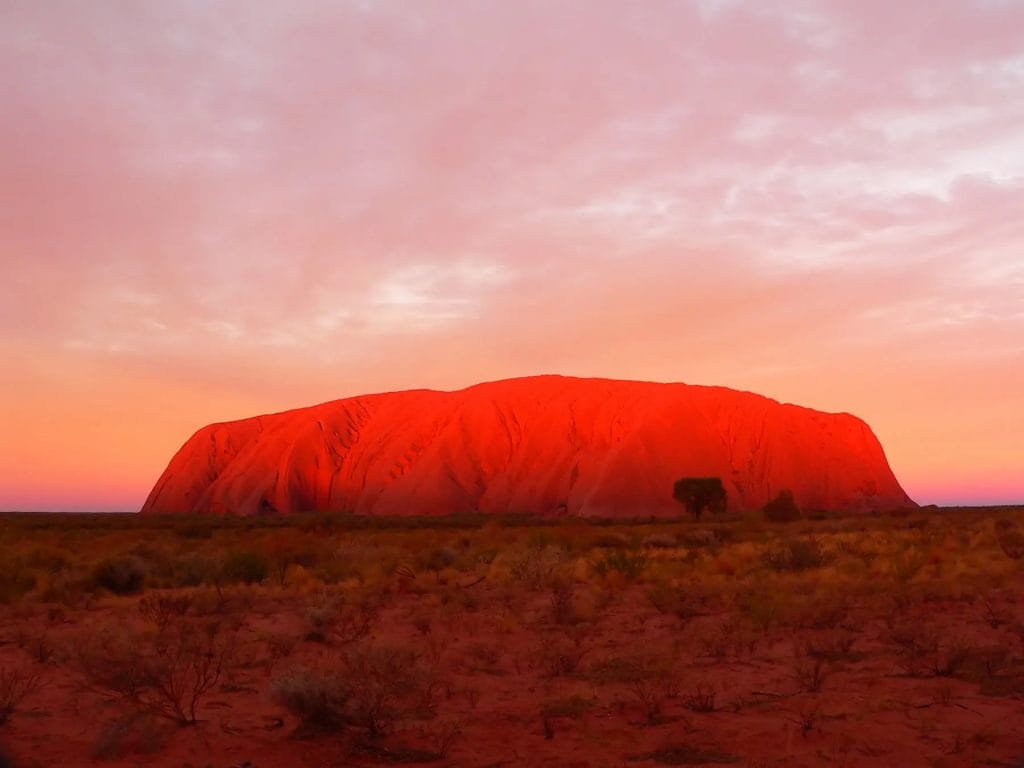 SEIT Uluru Sunset