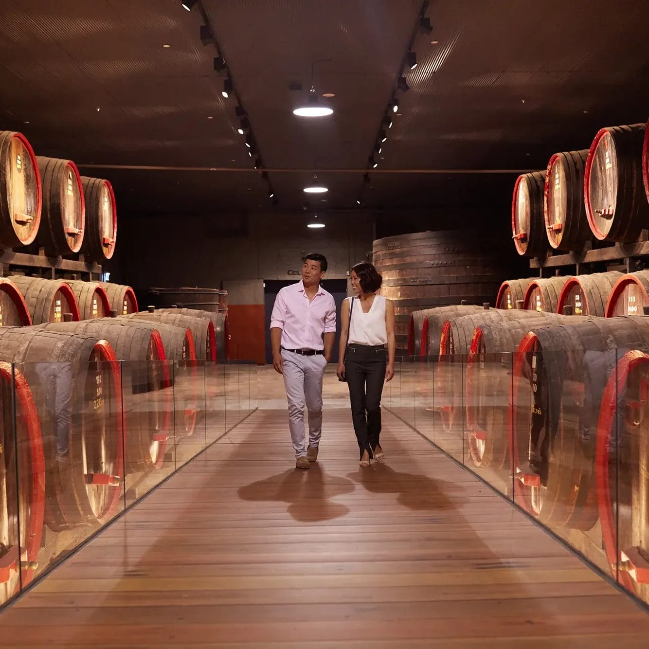 Penfolds Magill Estate Barrels - SATC and Ryan Cantwell