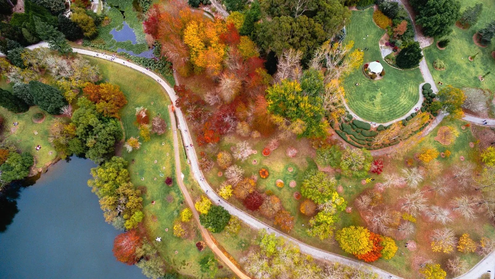 Aerial view of Mount Lofty Botanic Garden in autumn.