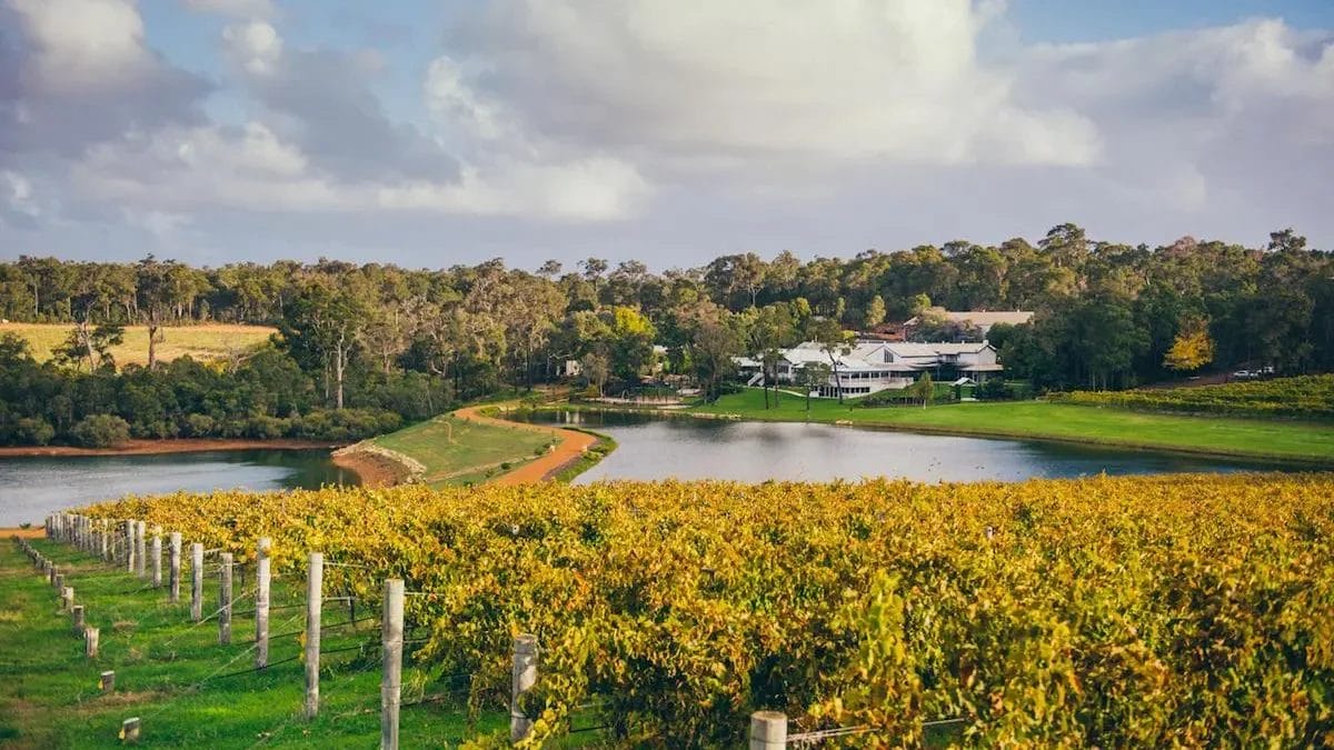 Landscape of vineyards, ponds and an estate in the Margaret River