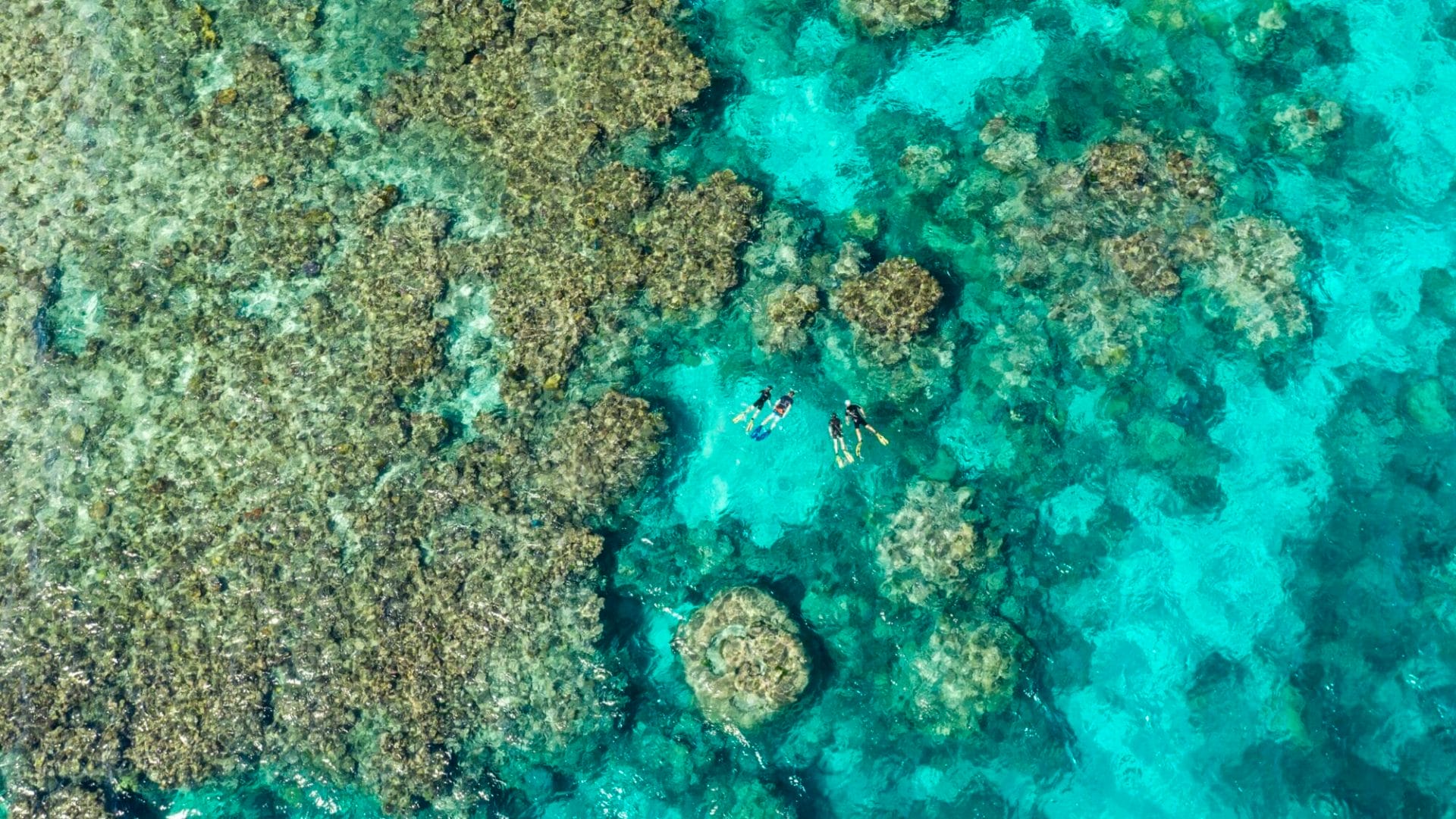 Aerial view of guests snorkelling amonst the coral formations at Agincourt Reef