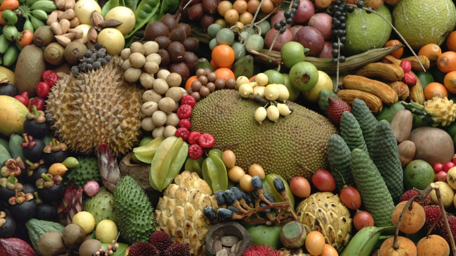 Collection of colourful tropical fruit.