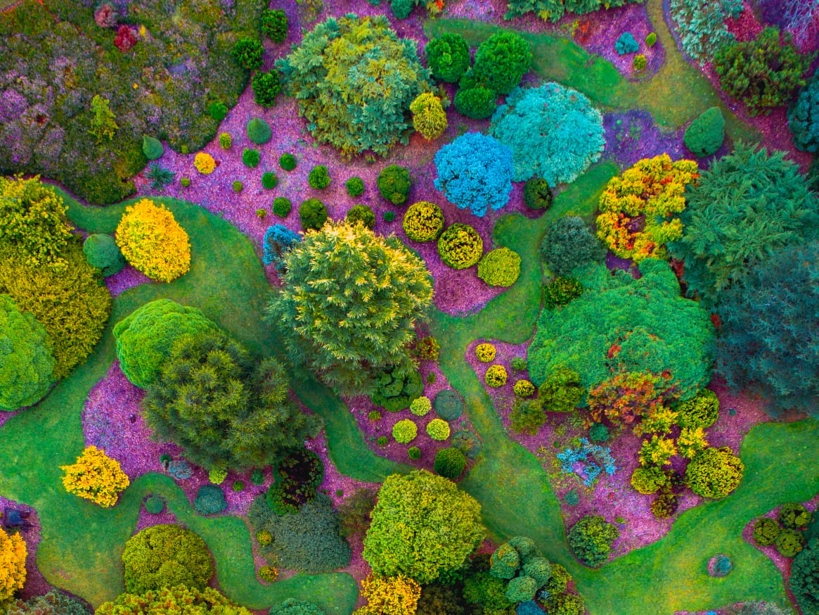 Aerial of Mount Lofty Botanic Garden
