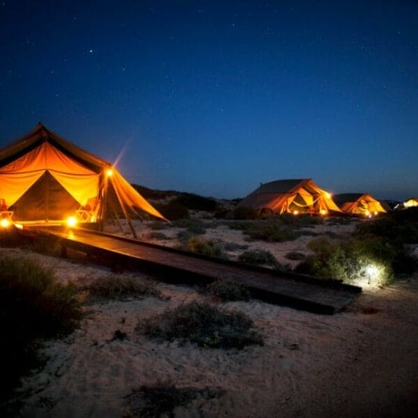 Tents-at-night(1)